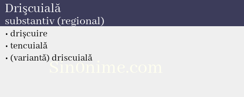 Drişcuială, substantiv (regional) - dicționar de sinonime