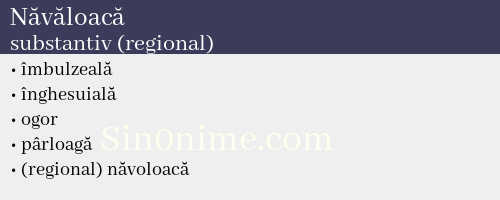 Năvăloacă, substantiv (regional) - dicționar de sinonime