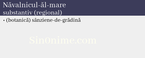 Năvalnicul-ăl-mare, substantiv (regional) - dicționar de sinonime