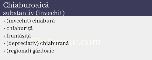 Chiaburoaică, substantiv (învechit) - dicționar de sinonime