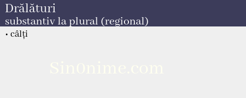 Drălături, substantiv la plural (regional) - dicționar de sinonime