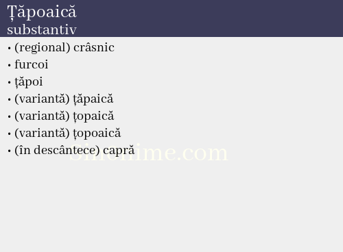 Țăpoaică, substantiv - dicționar de sinonime