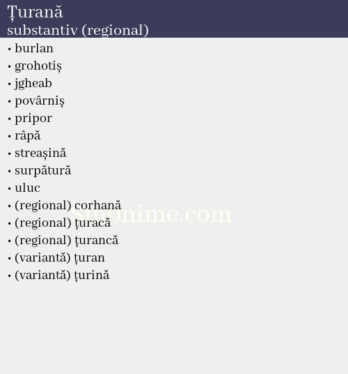 Țurană, substantiv (regional) - dicționar de sinonime