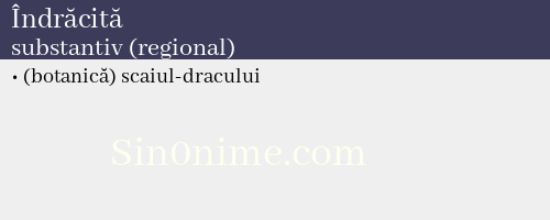 Îndrăcită, substantiv (regional) - dicționar de sinonime