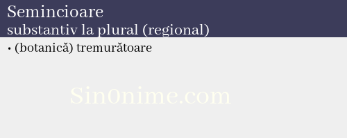 Semincioare, substantiv la plural (regional) - dicționar de sinonime