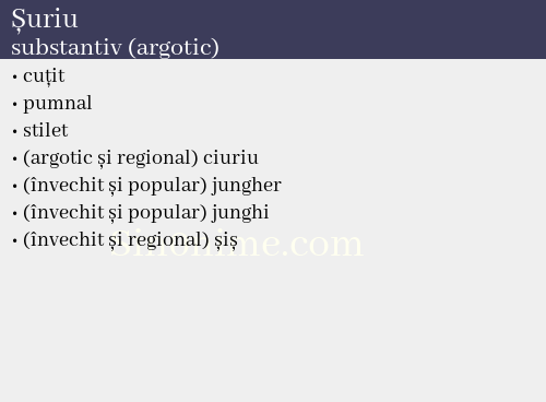 Șuriu, substantiv (argotic) - dicționar de sinonime