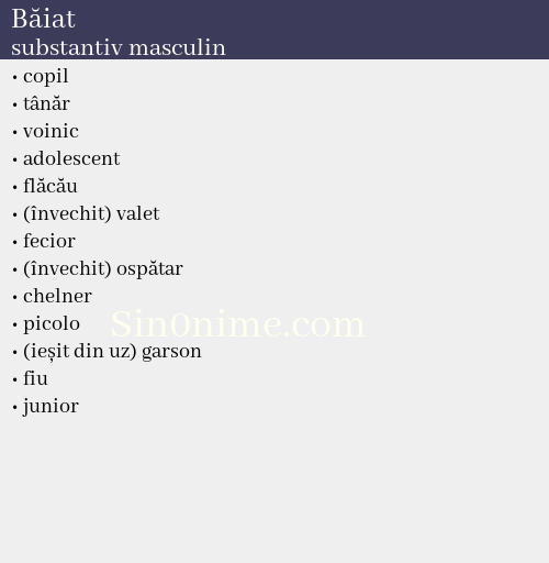 Băiat,   substantiv masculin - dicționar de sinonime