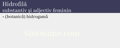 Hidrofilă, substantiv și adjectiv feminin - dicționar de sinonime