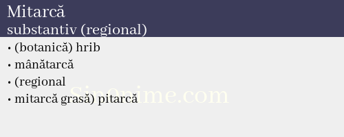 Mitarcă, substantiv (regional) - dicționar de sinonime