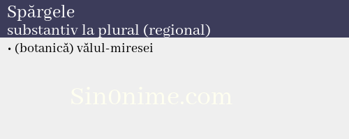 Spărgele, substantiv la plural (regional) - dicționar de sinonime