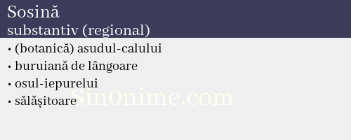 Sosină, substantiv (regional) - dicționar de sinonime