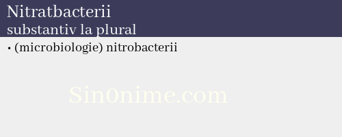 Nitratbacterii, substantiv la plural - dicționar de sinonime