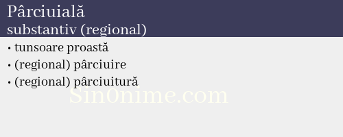 Pârciuială, substantiv (regional) - dicționar de sinonime