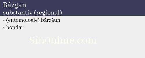 Bâzgan, substantiv (regional) - dicționar de sinonime