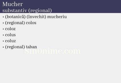 Mucher, substantiv (regional) - dicționar de sinonime