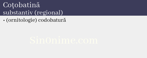 Coțobatină, substantiv (regional) - dicționar de sinonime