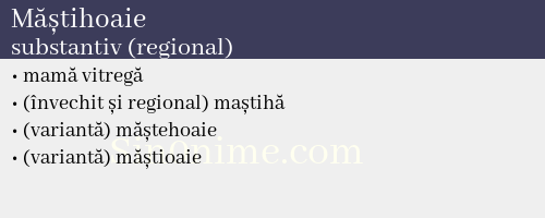 Măștihoaie, substantiv (regional) - dicționar de sinonime